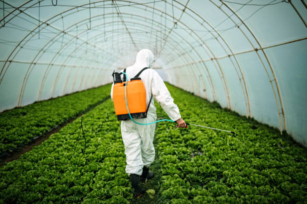 Best Ant Control Services  in Kent Acres, DE