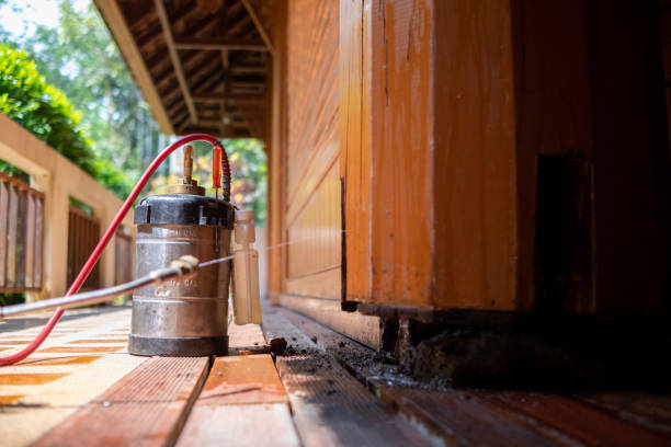 Best Best Pest Control Companies  in Kent Acres, DE
