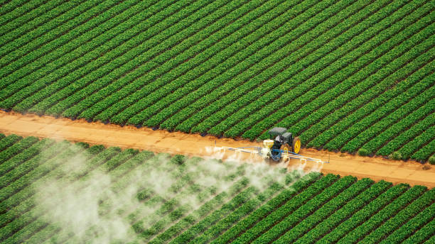 Professional Pest Control in Kent Acres, DE