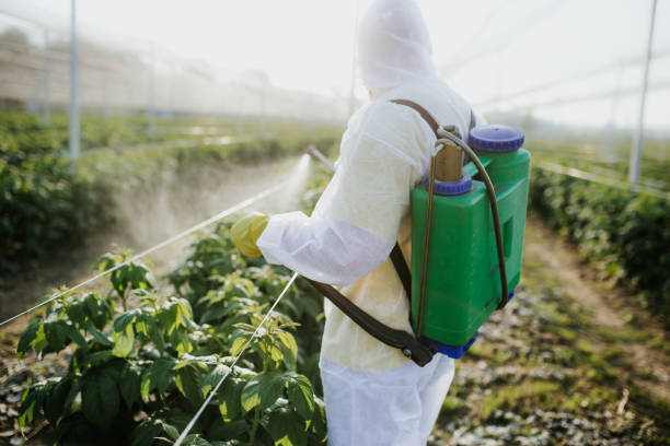 Best Mosquito Control Services  in Kent Acres, DE